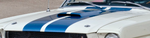 1965-1966 Shelby Mustang Hood, GT350