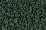 Dark Green 1965-1968 Mustang Coupe Carpet