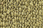 Ivy Gold 1965-1968 Mustang Coupe Carpet