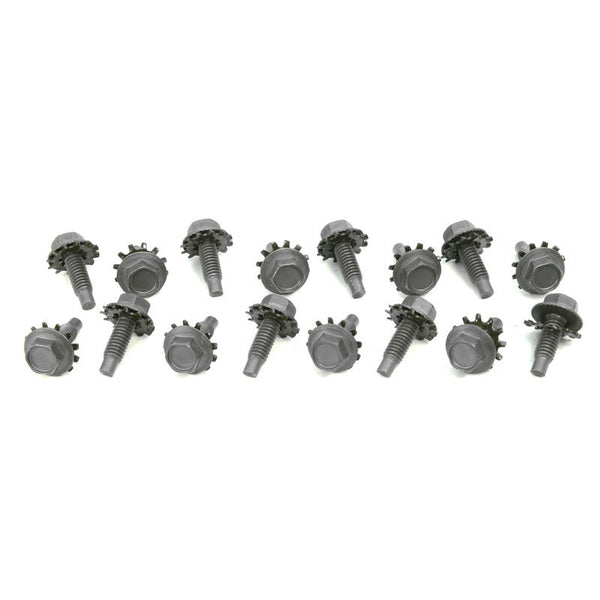 1965-1966 Mustang Coil Spring Cover Bolt Set, w/Star Washers, 16 pcs