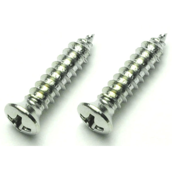 1965-1966 Mustang Side View Mirror Screws, Chrome