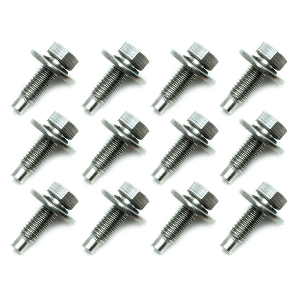 1965-1970 Mustang AMK Fender Bolts, Stainless Steel, w/Disk Washers, 12 pcs