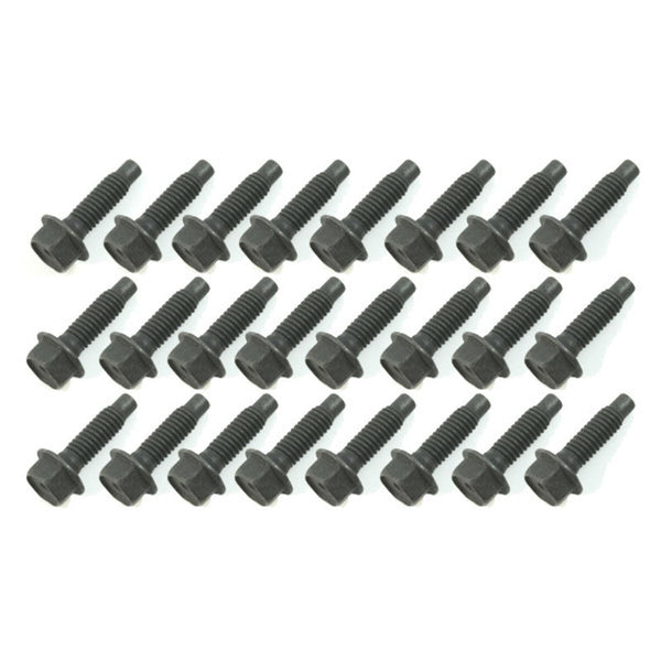 1968-1973 Mustang Door Hinge Bolt Set, 24 pcs