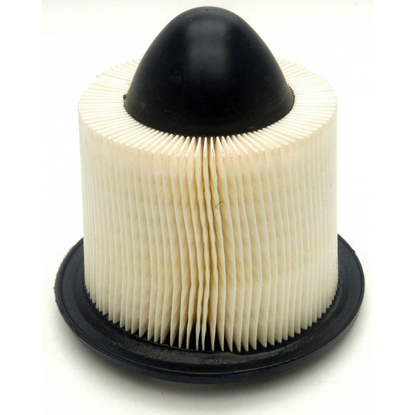 1996-2004 Mustang Air Filter, 8 cyl 4.6L, Motorcraft